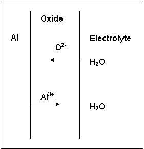 Ion transport