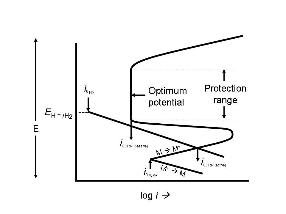 Modeling of the cathodic and anodic polarization curves of metals