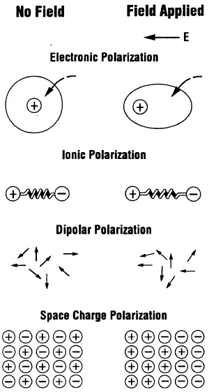  Schematics of polarization 