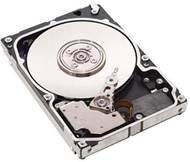 Generic computer disk drive