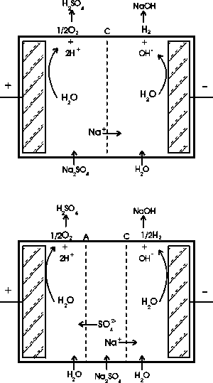  Membrane cells