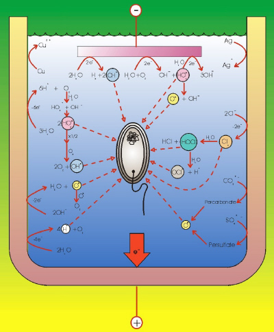  Microorganism deactivators