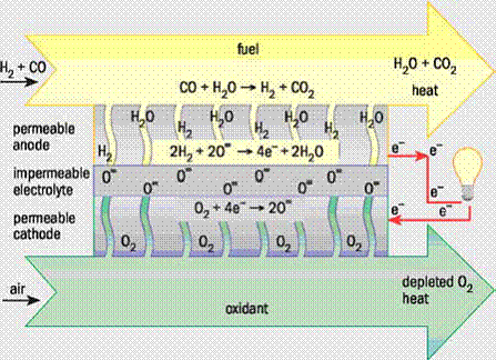  Operating principle of SOFC