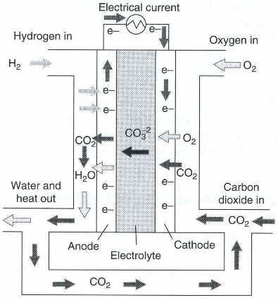 Reactant flow in a MCFC