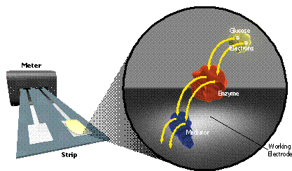 Electrons flow