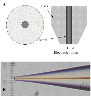  Schematics of a tip 