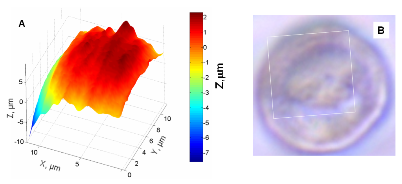  Substrate imaging 