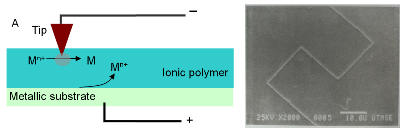  SECM metal deposition 