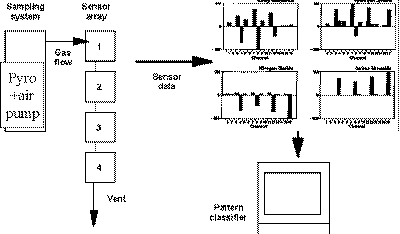 Structure of an electronic nose