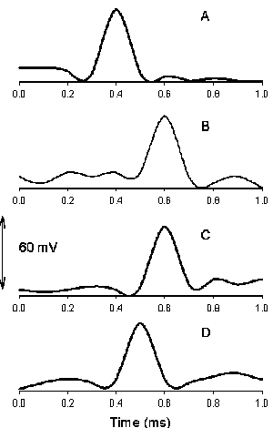 Action potentials in soybean 