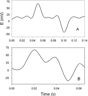 Effect of DNP on action potentials 