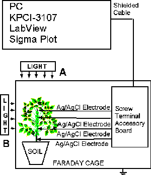 Experimental set-up 