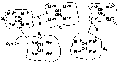  2:2-electron mechanism 