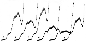 Polarographic curves of Cd<sup>2+</sup> ion reduction